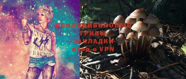 винт Козловка