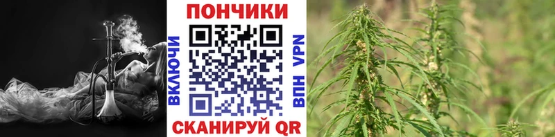 Канабис конопля  Пойковский 